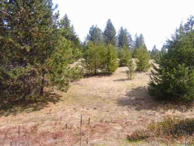 28000 North Monroe Road Deer Park, WA 99006 - Photo 3 of 5 Gallery Image 3