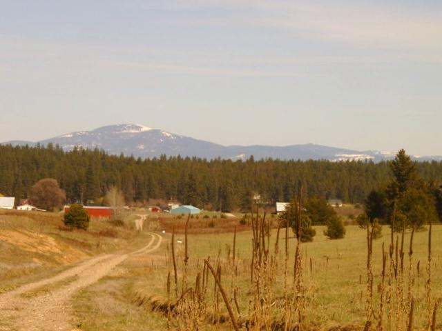 28000 North Monroe Road Deer Park, WA 99006 - Photo 4 of 5 Gallery Image 4