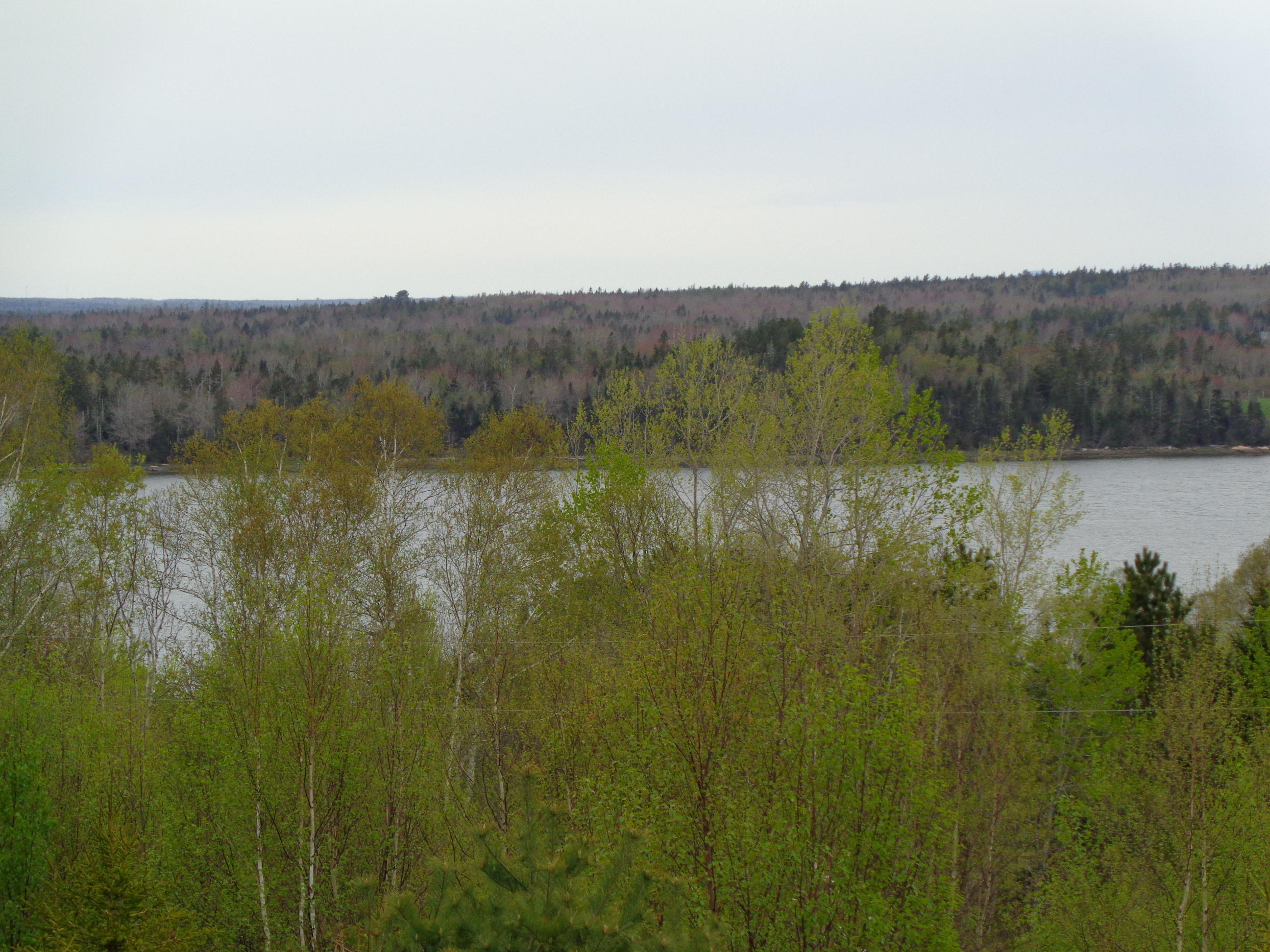 Lot 5 East Side Road Addison, ME 04606 - Photo 7 of 11 DSC03061