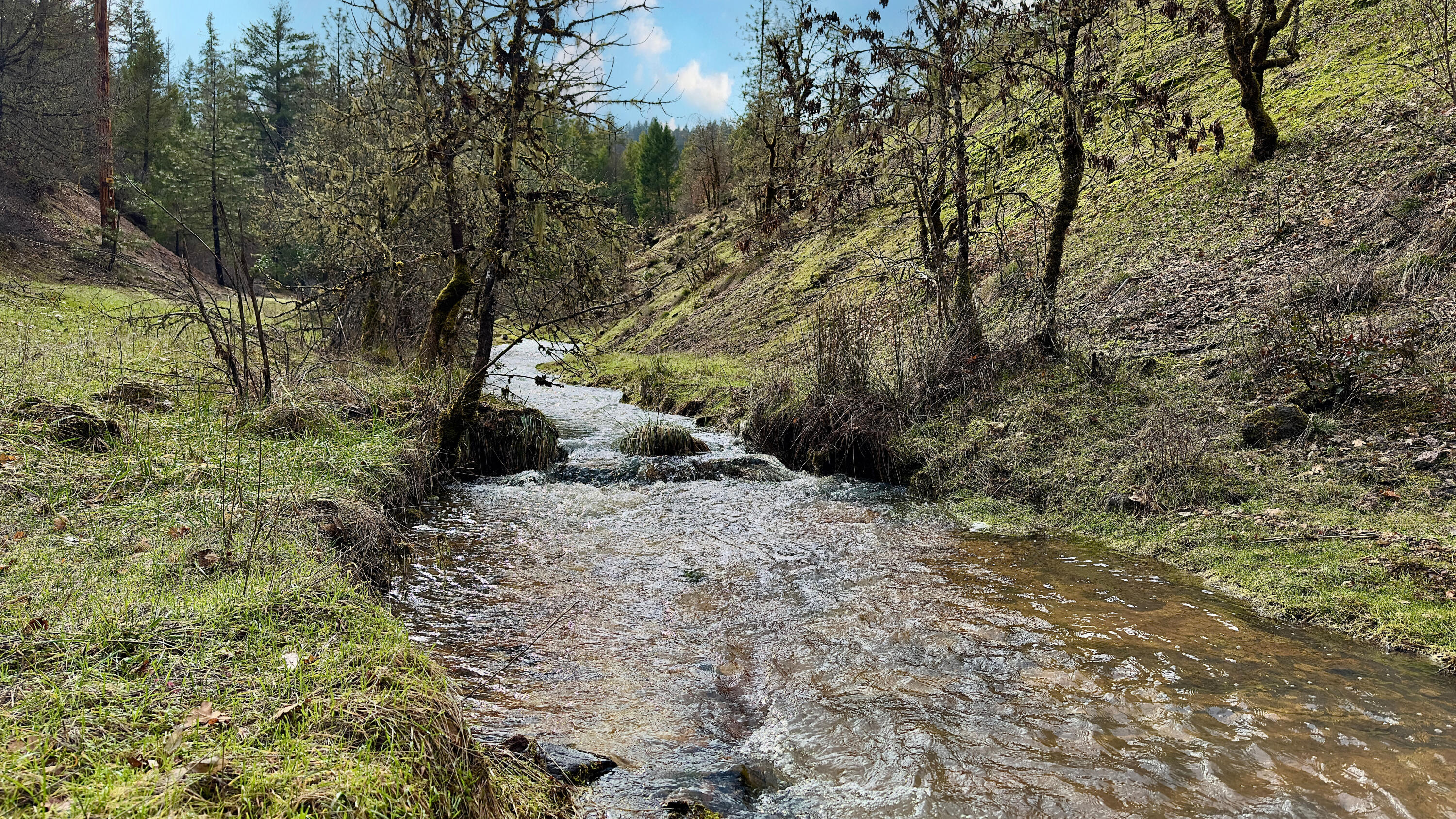 283 West Fork Trail Creek Road Trail, OR 97541 - Photo 5 of 15 Creek