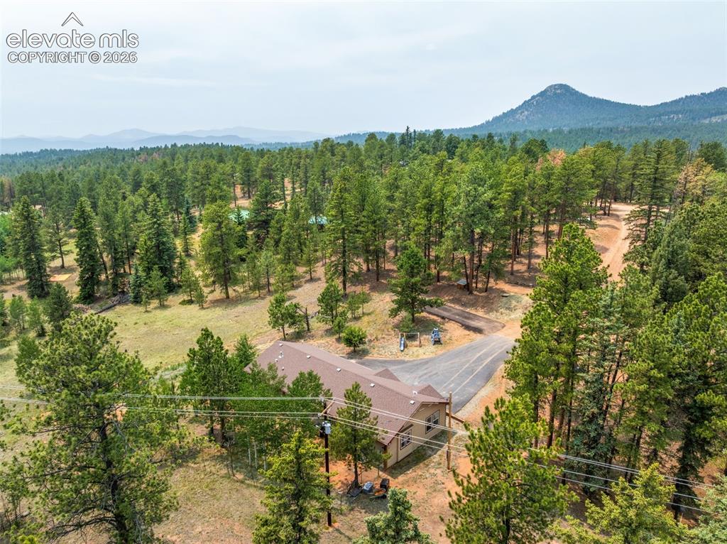 156 Fossil Creek Road Florissant, CO 80816 - Photo 43 of 47