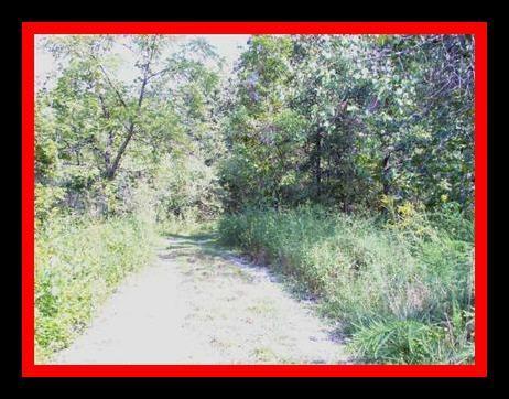 3800 South 155th Road Bolivar, MO 65613 - Photo 1 of 1 Primary Photo