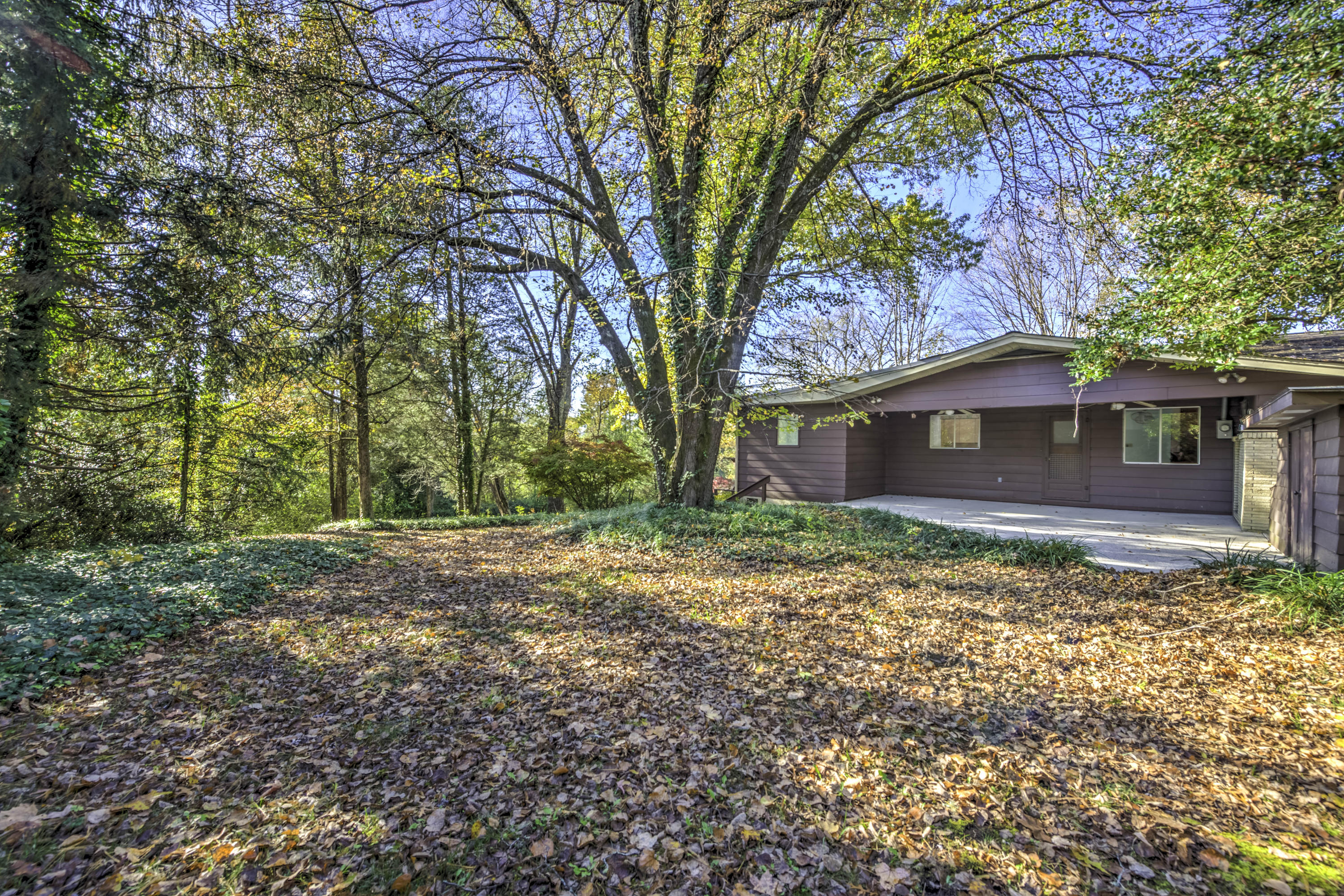121 Canterbury Road Oak Ridge, TN 37830 - Photo 4 of 44 36