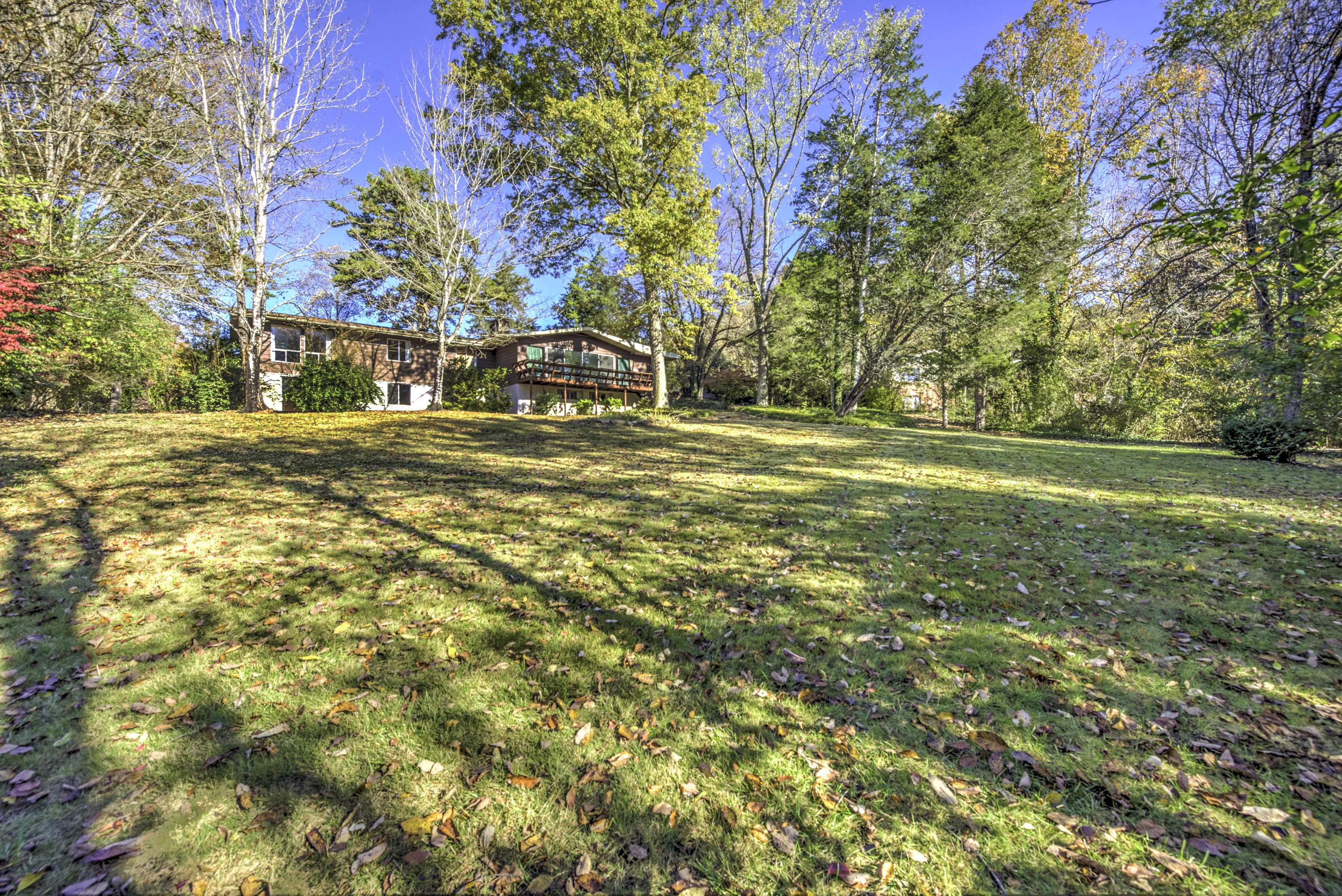 121 Canterbury Road Oak Ridge, TN 37830 - Photo 8 of 44 39