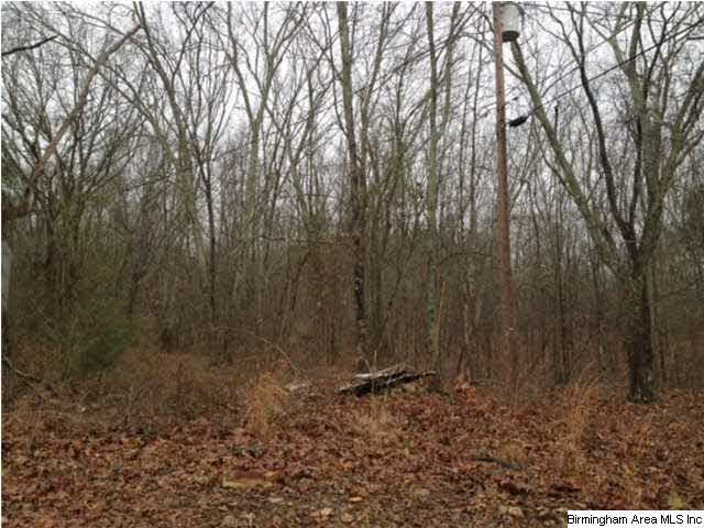 Gaines Street, Unit 80 Anniston, AL 36201 - Photo 10 of 20