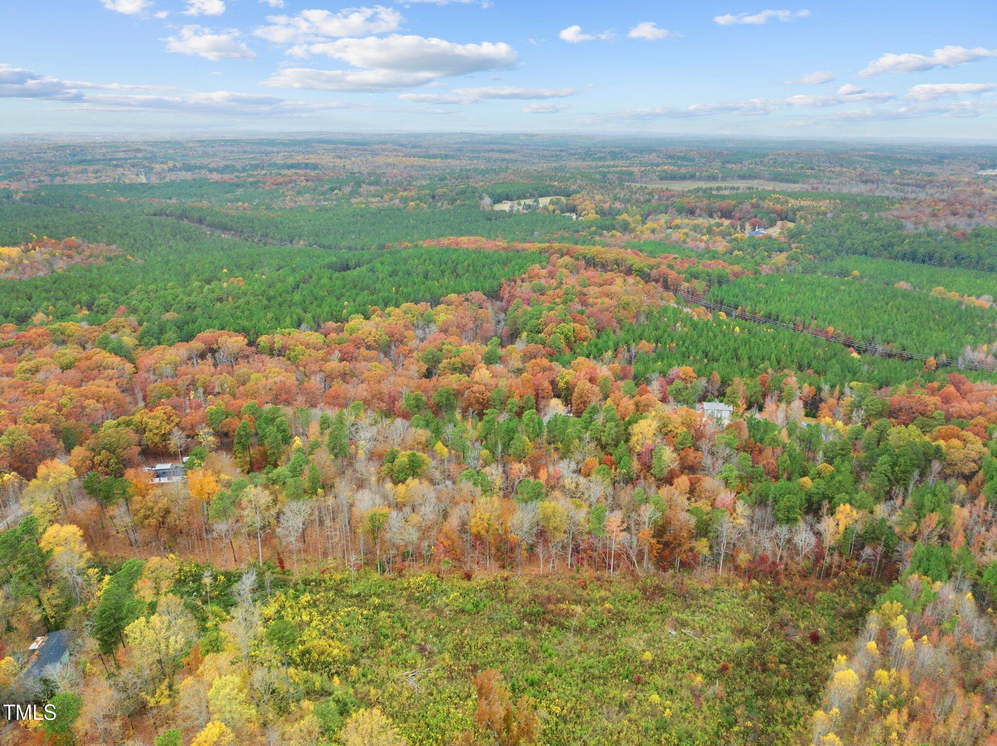 432 Sweet Water Ridge Pittsboro, NC 27312 - Photo 4 of 5 8-web-or-mls-DJI_0884