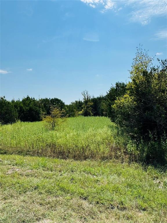 36060 Cedar Ridge Drive Whitney, TX 76692 - Photo 3 of 10 a view of lake with green space