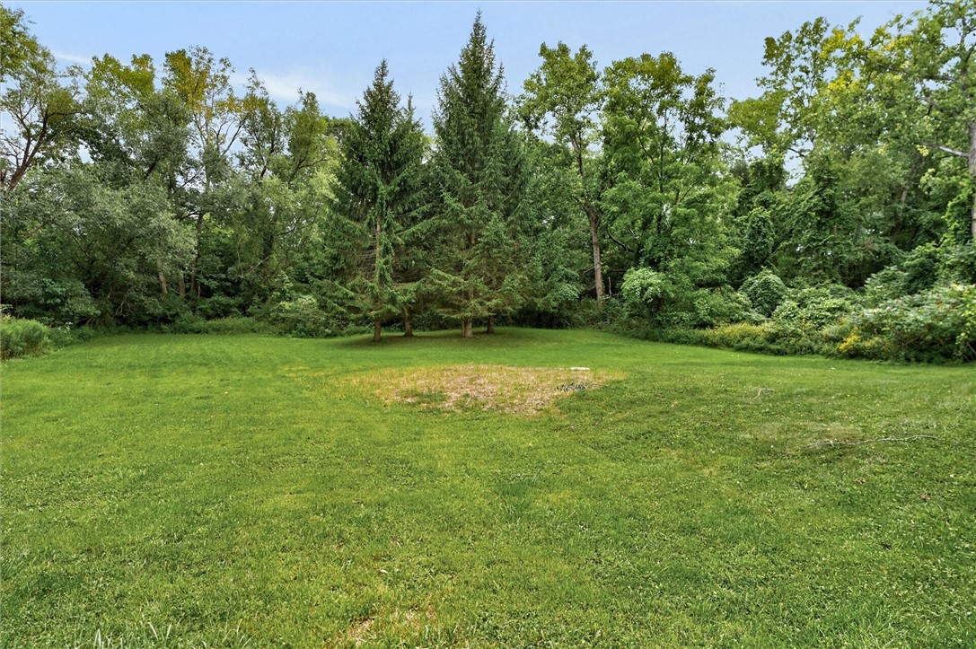 7213 Tilton Road Bristol, NY 14469 - Photo 43 of 50 Spacious backyard with a level lawn, mature trees, and a newly installed cistern, with plenty of room for outdoor enjoyment.