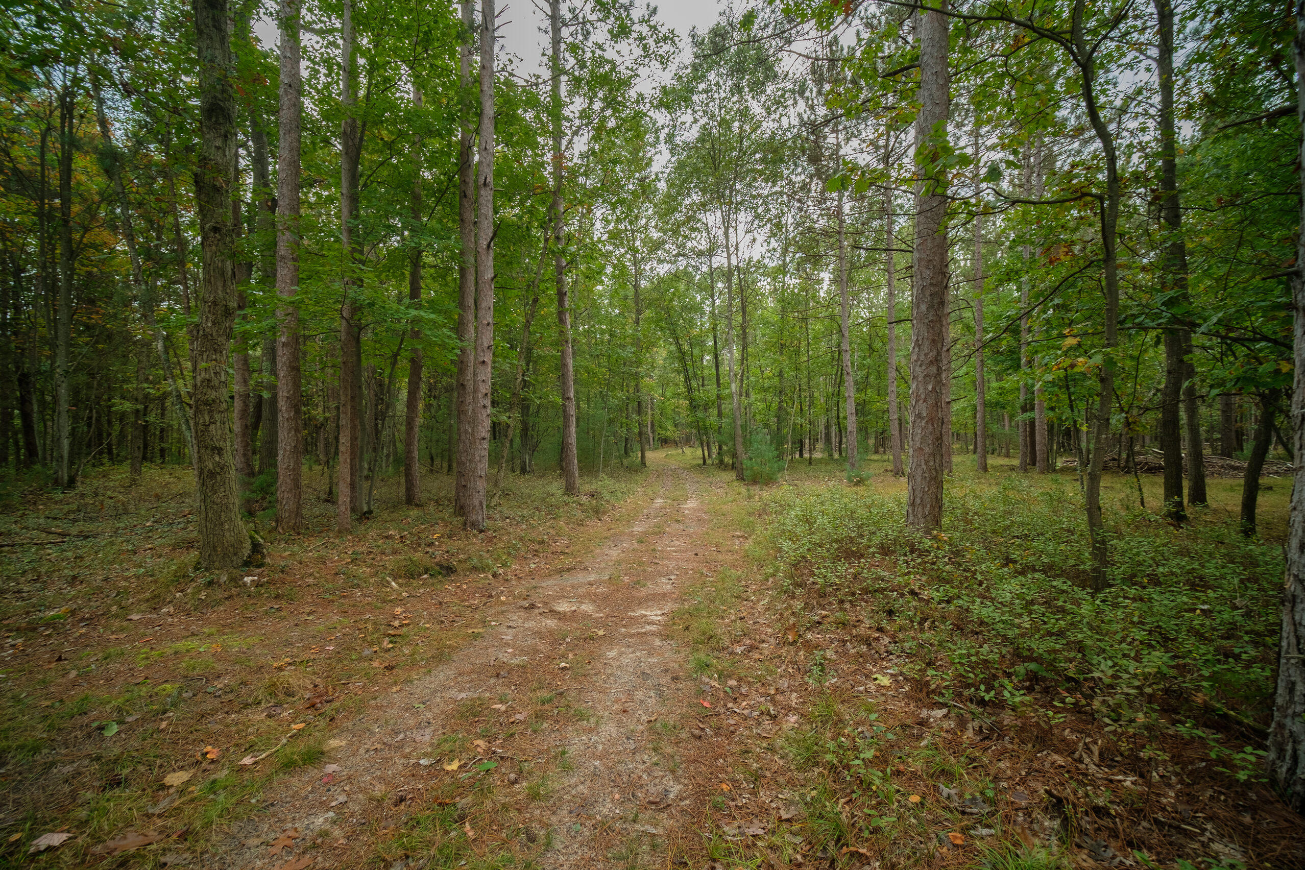 Cherry Road Manistee, MI 49660 - Photo 1 of 47 Cherry_Rd-01
