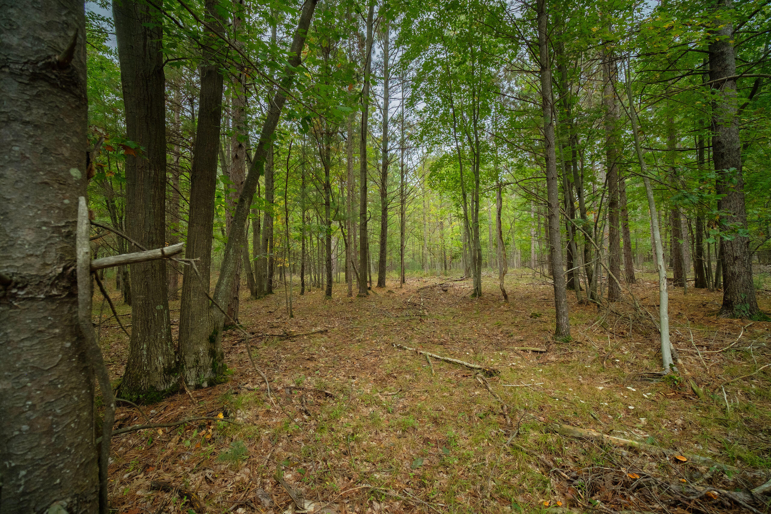 Cherry Road Manistee, MI 49660 - Photo 23 of 47 Cherry_Rd-23