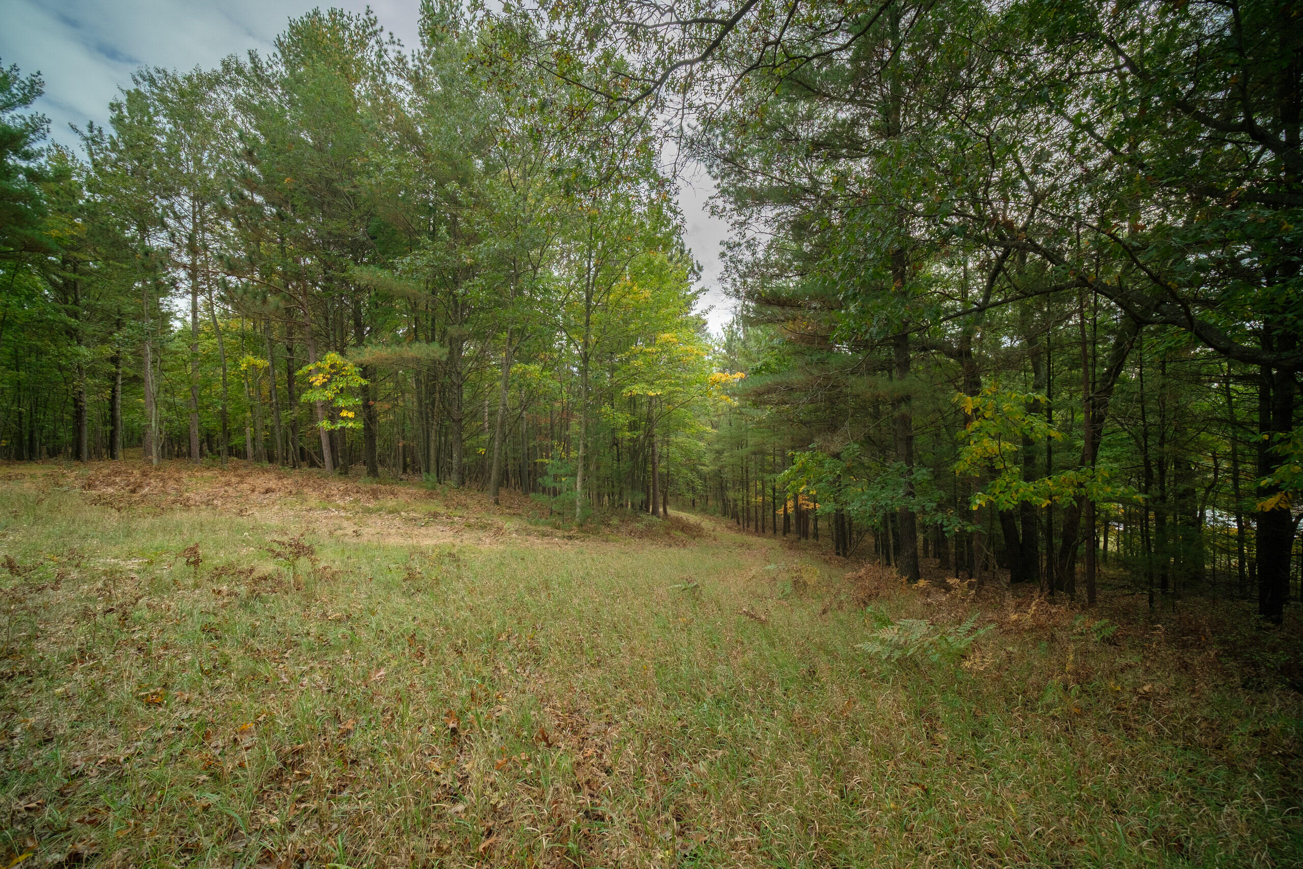 Cherry Road Manistee, MI 49660 - Photo 29 of 47 Cherry_Rd-29