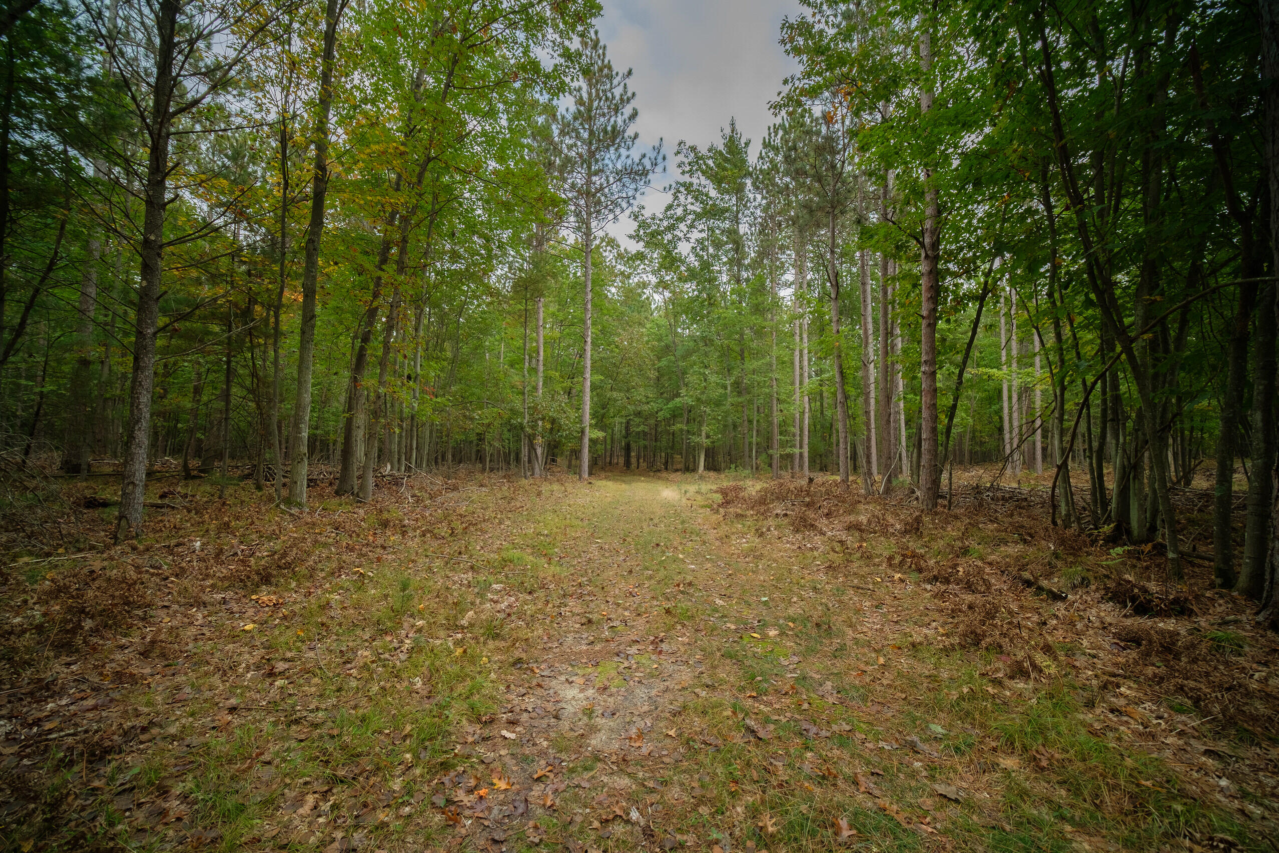 Cherry Road Manistee, MI 49660 - Photo 32 of 47 Cherry_Rd-32