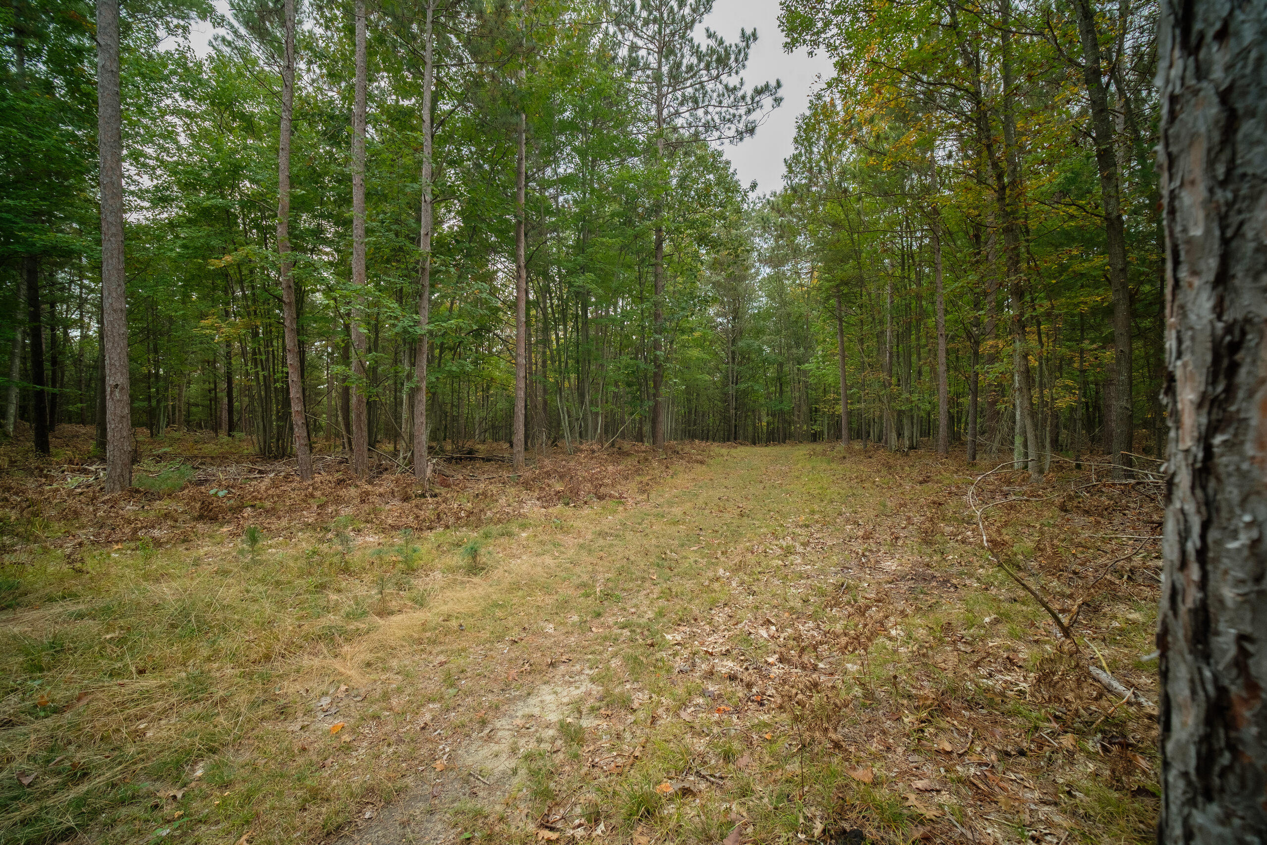 Cherry Road Manistee, MI 49660 - Photo 42 of 47 Cherry_Rd-42