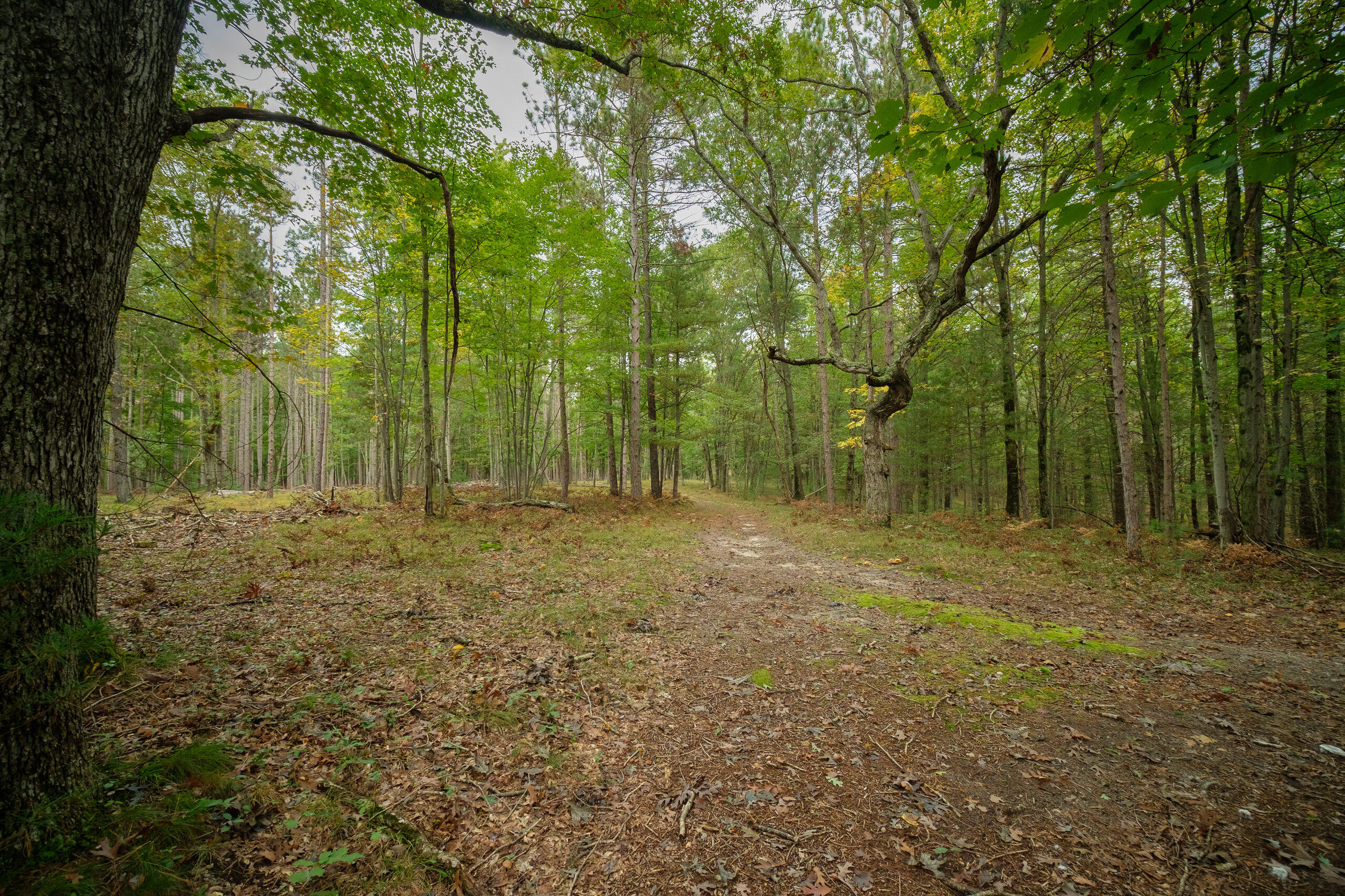 Cherry Road Manistee, MI 49660 - Photo 5 of 47 Cherry_Rd-05