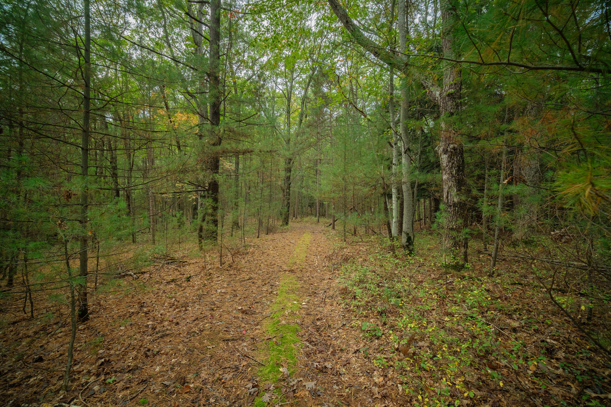 Cherry Road Manistee, MI 49660 - Photo 8 of 47 Cherry_Rd-08