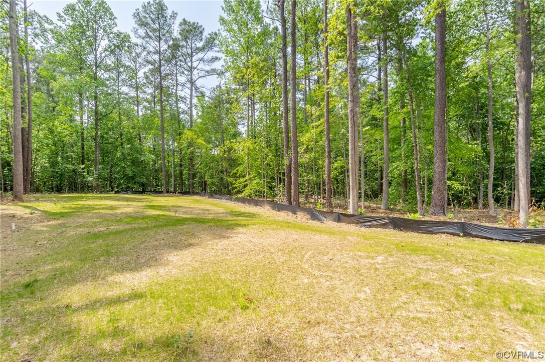 1055 Eastham Road Bumpass, VA 23024 - Photo 25 of 42 a view of pool and trees in the background