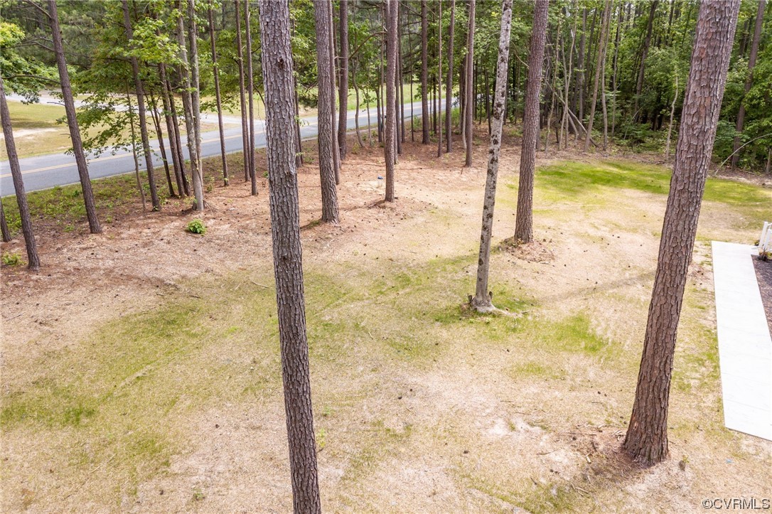 1055 Eastham Road Bumpass, VA 23024 - Photo 40 of 42 a view of back yard of the house