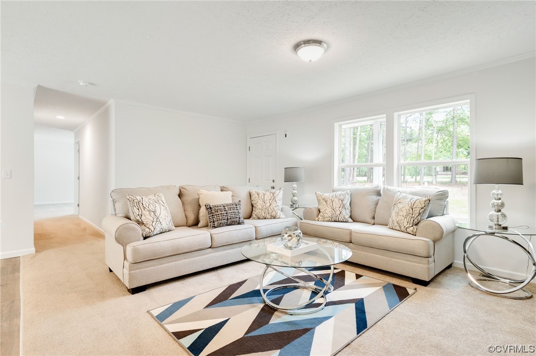 1055 Eastham Road Bumpass, VA 23024 - Photo 5 of 42 a living room with furniture a rug potted plant and a large window