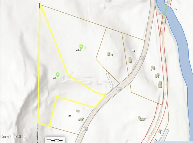 a view of a yard with plants and a tree