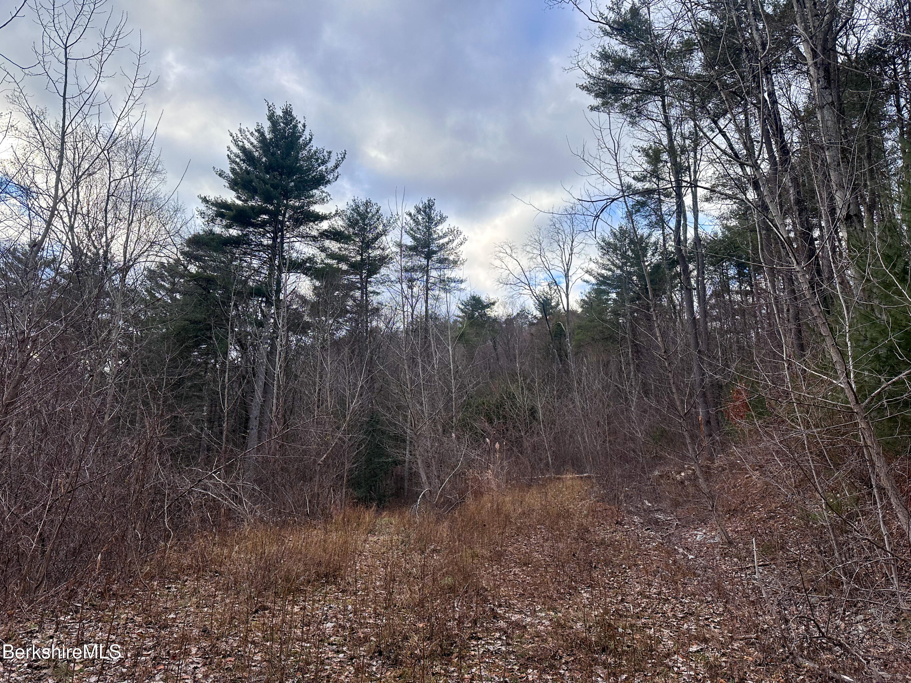 0 Glendale Road Housatonic, MA 01236 - Photo 16 of 16 a view of a forest