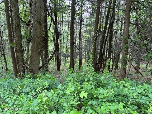 a green field with lots of trees