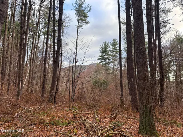 $295,000 | 0 Glendale Road, Housatonic, MA 01236