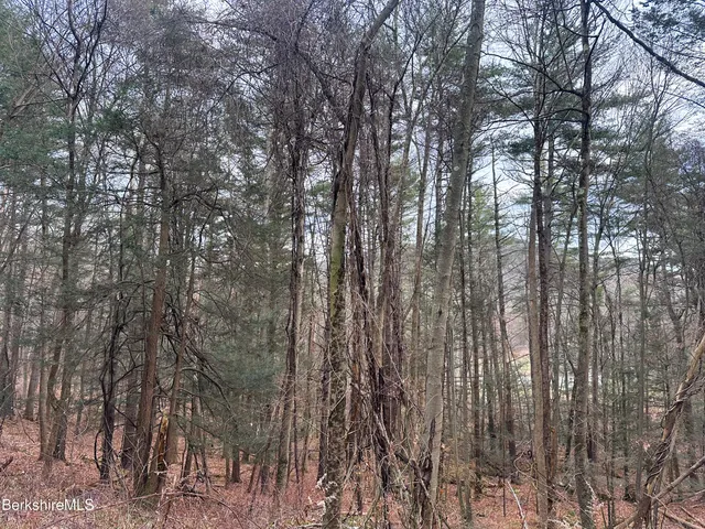 $295,000 | 0 Glendale Road, Housatonic, MA 01236