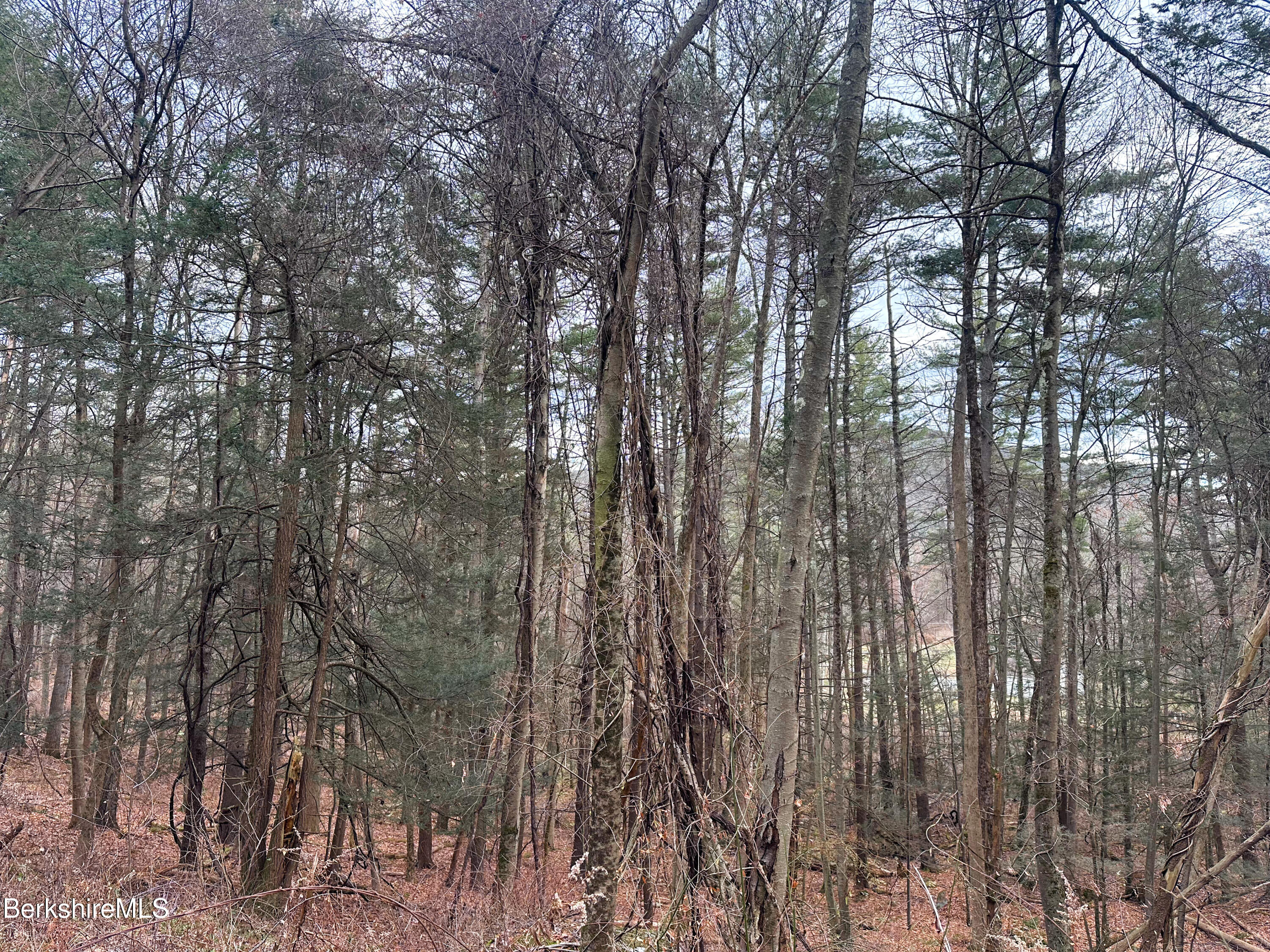 0 Glendale Road Housatonic, MA 01236 - Photo 6 of 16 a view of outdoor space and a yard