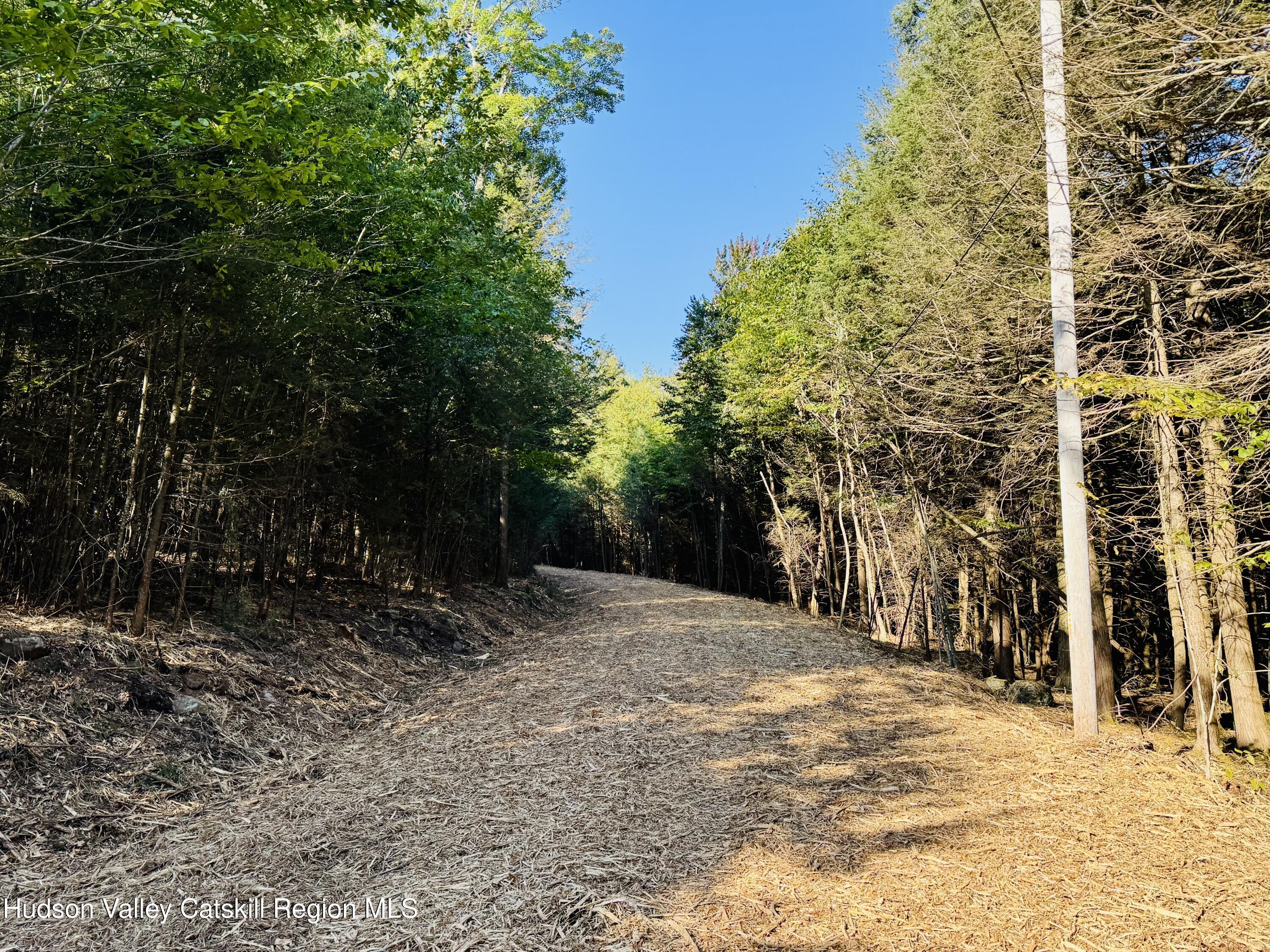 3 Corfu Road Elka Park, NY 12427 - Photo 15 of 19 IMG_2052