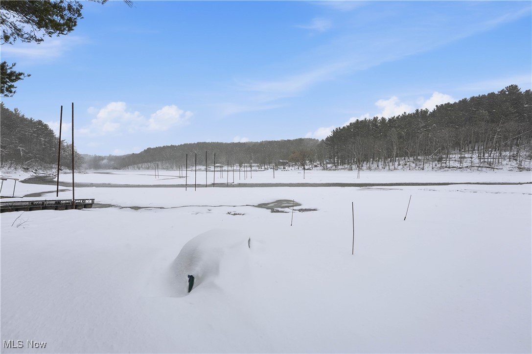 4254 Doral Road Southwest Carrollton, OH 44615 - Photo 45 of 46 Yard covered in snow featuring a view of trees