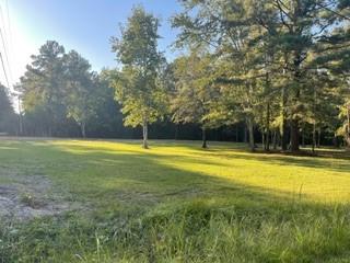 13001 Boyd Road Covington, LA 70435 - Photo 4 of 5