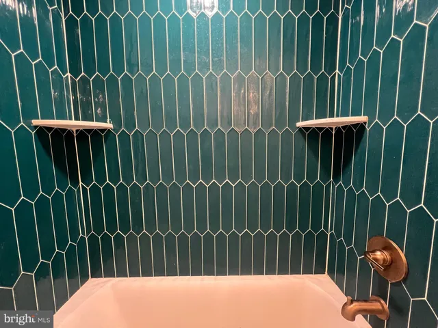 a view of a backyard with plants