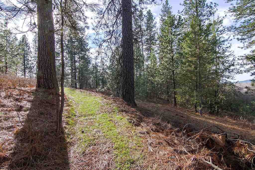 5026 West Staley Road Deer Park, WA 99006 - Photo 8 of 20 Gallery Image 8