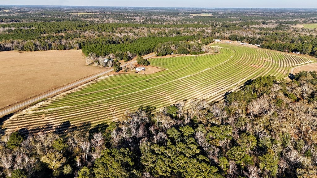 0 Tired Creek Road Whigham, GA 39897 - Photo 8 of 15 Gallery Image 8