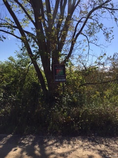 Parcel A Parcel A Big Lake Road Davisburg, MI 48350 - Photo 1 of 1