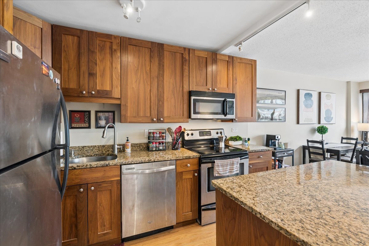 2930 North Sheridan Road, Unit 1009 Chicago, IL 60657 - Photo 5 of 15