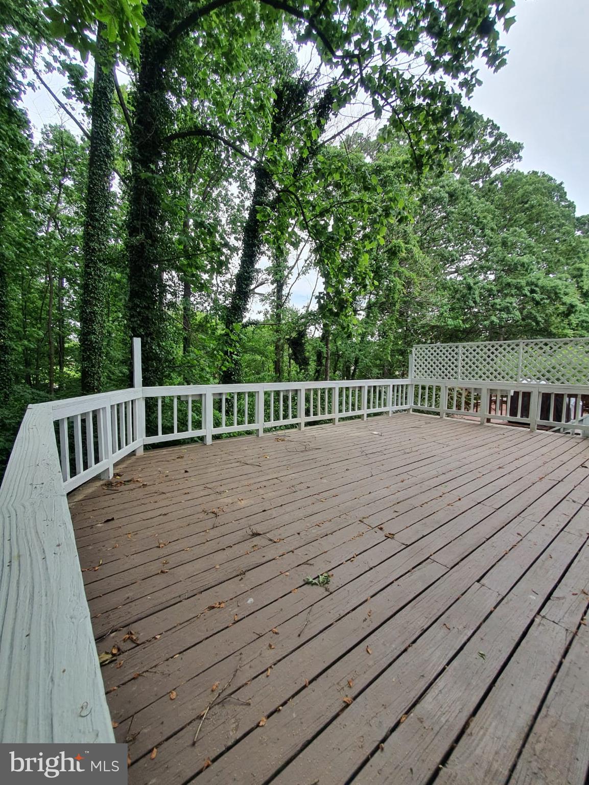 33 Berkeley Court Sterling, VA 20165 - Photo 17 of 21