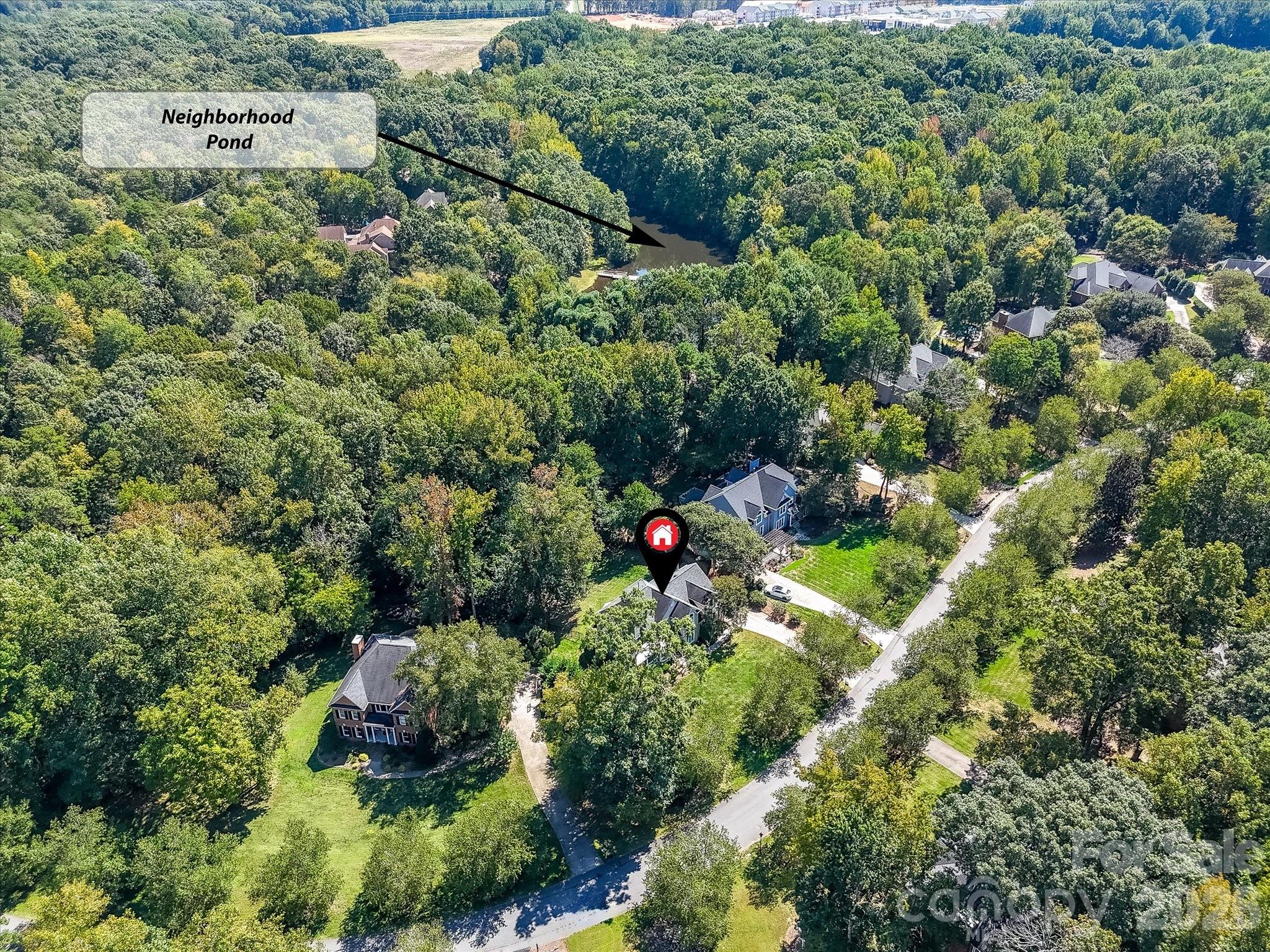 13446 Scanlan Way Davidson, NC 28036 - Photo 44 of 47 a picture of tree