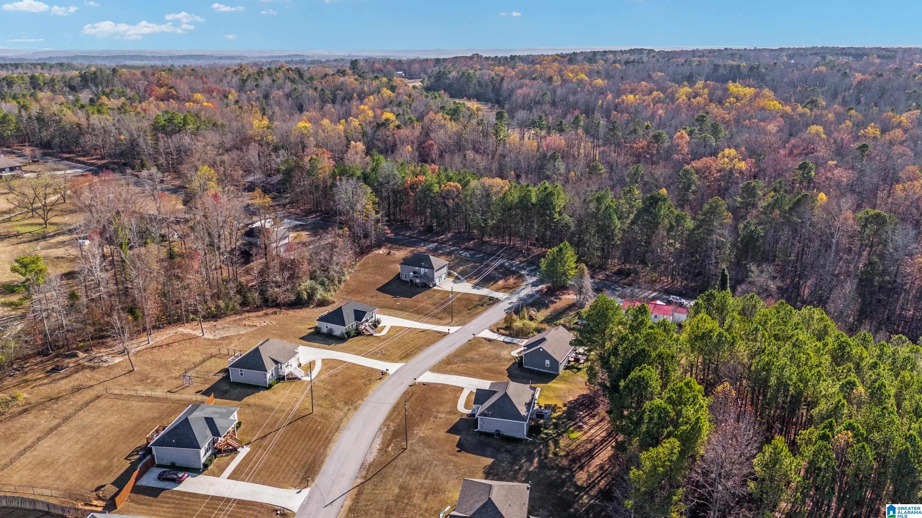 35 Hidden Circle Hayden, AL 35079 - Photo 28 of 28