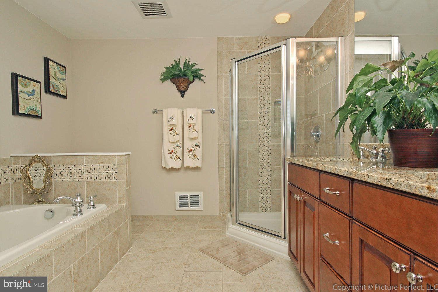 9033 Bethel Road Frederick, MD 21702 - Photo 23 of 30 Bath (Master)