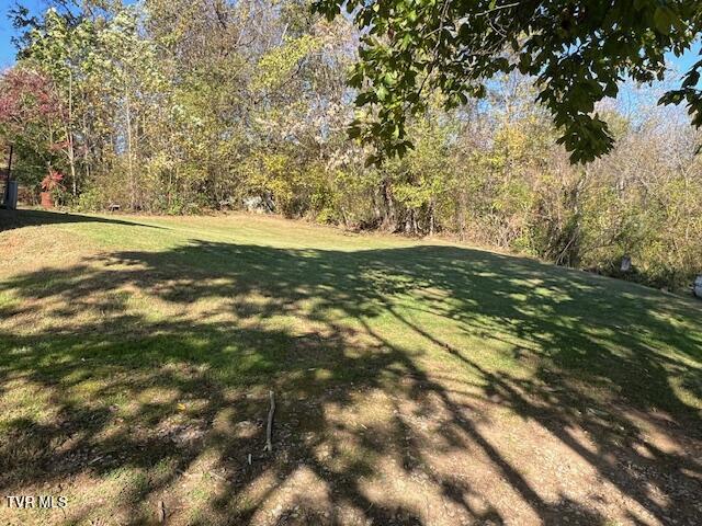 116 Green Lane Limestone, TN 37681 - Photo 36 of 36 IMG_4050