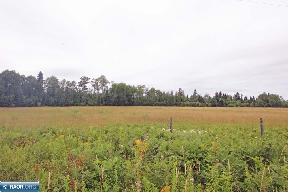 65 Cook Mn 55723 Cook, MN 55723 - Photo 6 of 10