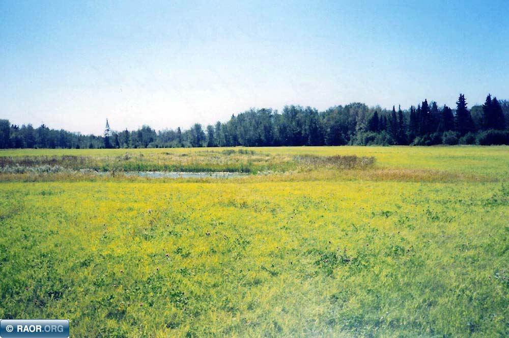 65 Cook Mn 55723 Cook, MN 55723 - Photo 8 of 10