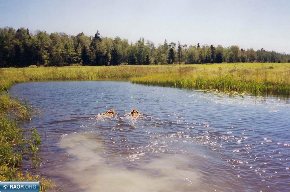 65 Cook Mn 55723 Cook, MN 55723 - Photo 9 of 10