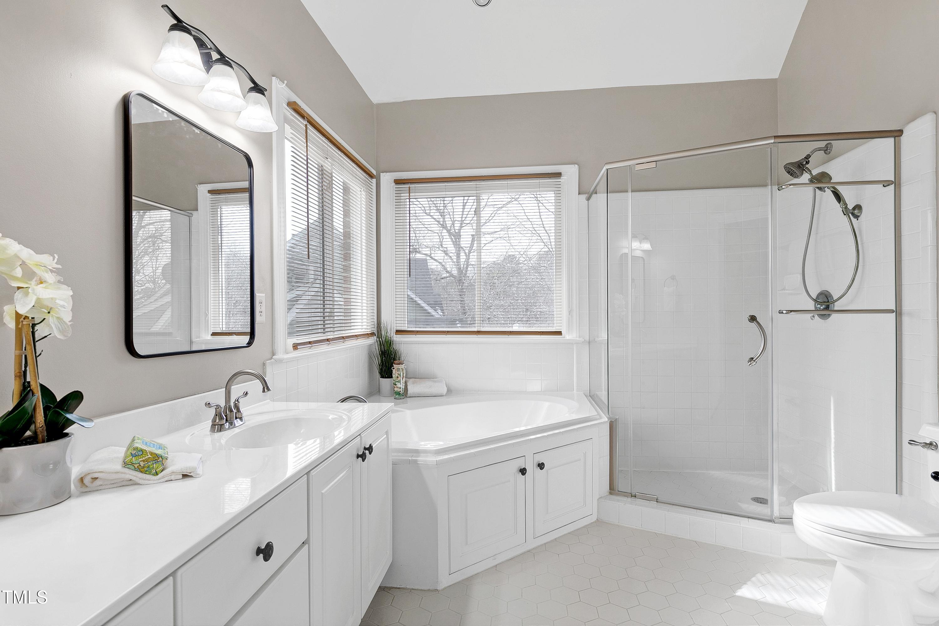 103 Sandy Hook Way Cary, NC 27513 - Photo 28 of 45 a bathroom with a double vanity sink toilet mirror and shower