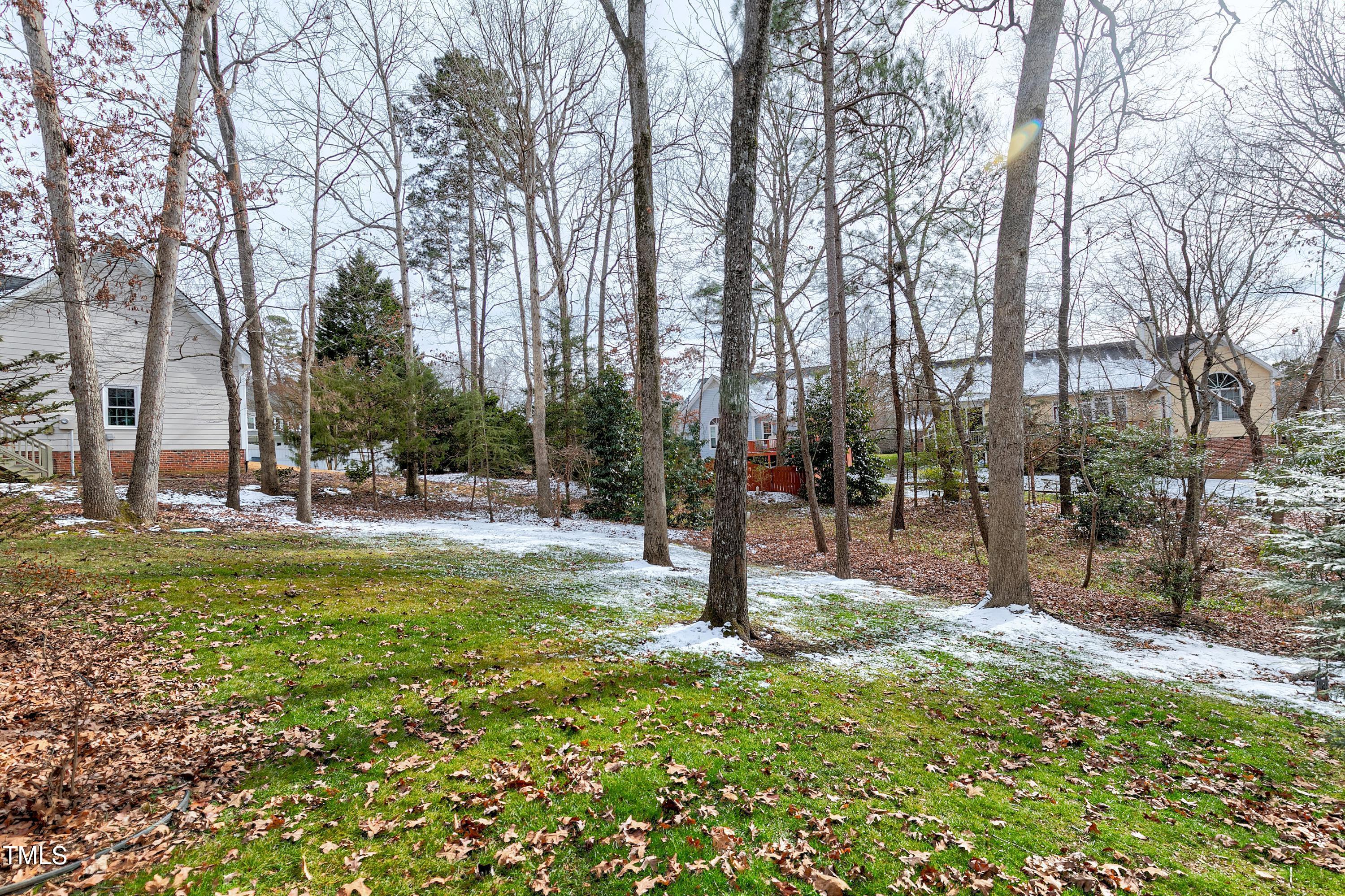 103 Sandy Hook Way Cary, NC 27513 - Photo 40 of 45 a view of a park with tree s