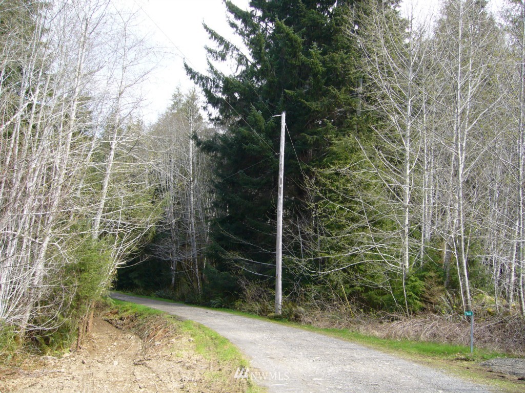 29 3 Rivers Road Forks, WA 98331 - Photo 5 of 6 Gallery Image 5