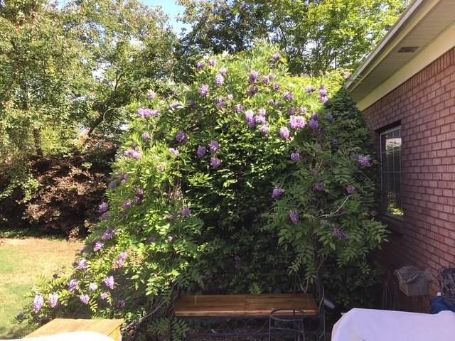 1436 Oak Grove Drive Decatur, GA 30033 - Photo 37 of 43