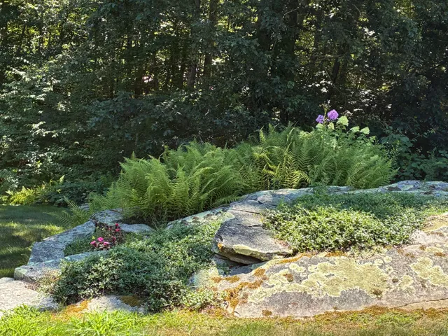 $1,125,000 | 153 Mitchell Hill Road, Lyme, CT 06371