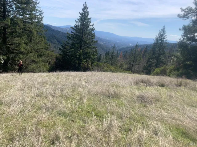 a view of a yard and mountain